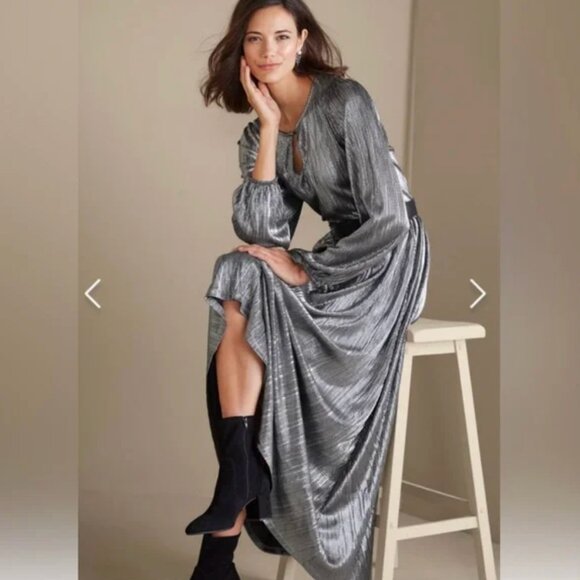 NWT Soft Surroundings Maxi Annabelle Pleated Dress Silver Petite Med (10-12) - Picture 4 of 12